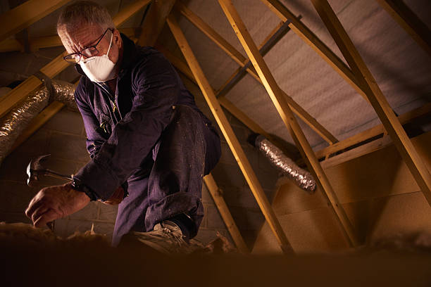 Best Cellulose Insulation  in Whitefish, MT