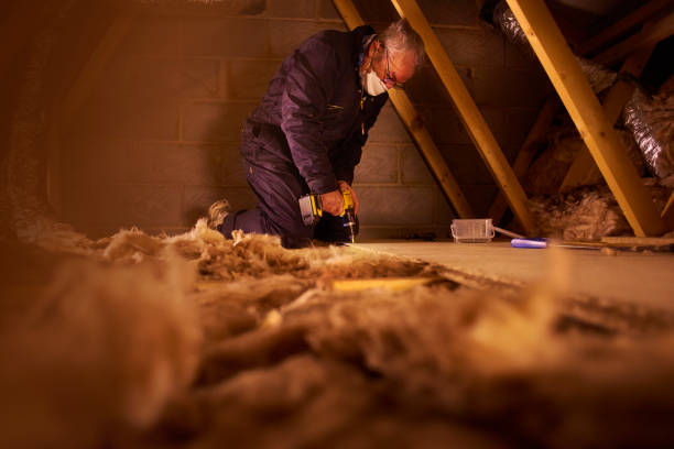 Best Local Insulation Services  in Whitefish, MT